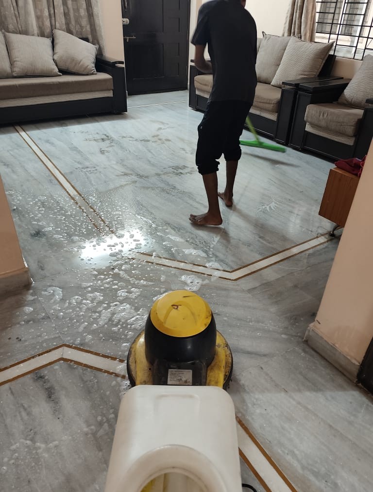 Drawing Room Cleaning WIP